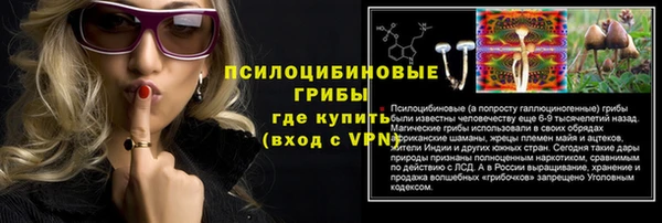 дживик Каменск-Шахтинский
