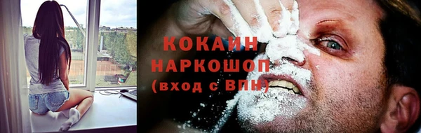 дмт Каменка