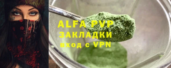 гидра Каменногорск