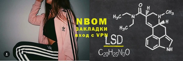 дмт Каменка