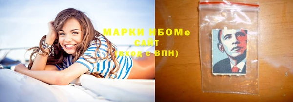дмт Каменка