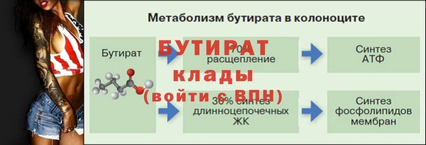 дмт Каменка