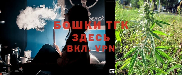 дмт Каменка