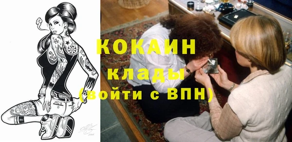 гидра Каменногорск