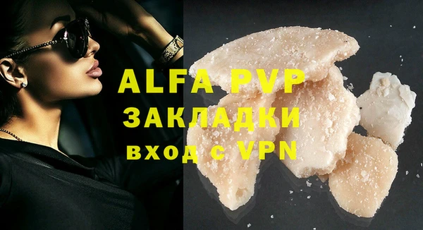 дмт Каменка
