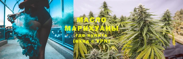 дмт Каменка
