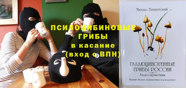 PSILOCYBIN Анжеро-Судженск