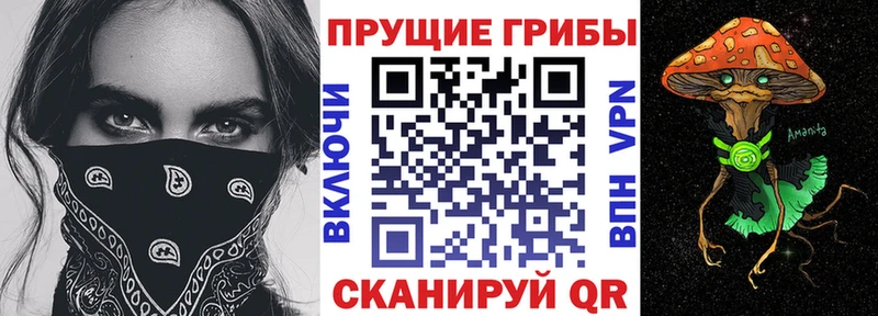 Псилоцибиновые грибы GOLDEN TEACHER  Купить где  Егорьевск 