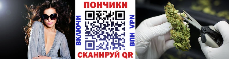 Купить закладки  Егорьевск  Марихуана тримм 